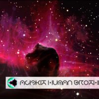 Acidkit – Human Brother