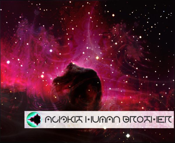 Read more about the article Acidkit – Human Brother