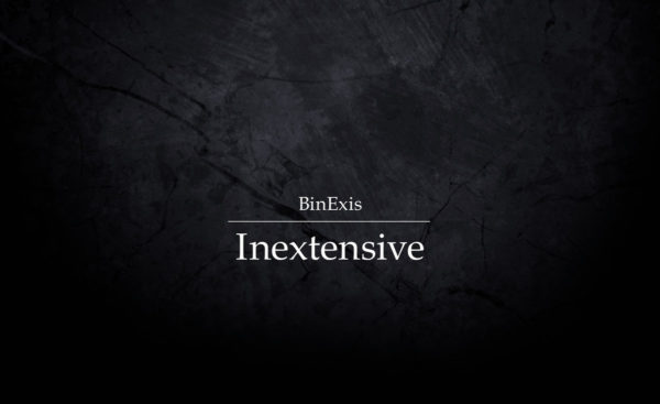 Read more about the article Дмитрий Рябов выпустил альбом – BinExis “Inextensive”