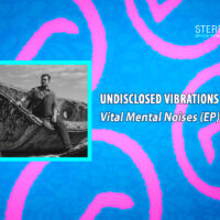 Undisclosed Vibrations – Vital Mental Noises (EP)